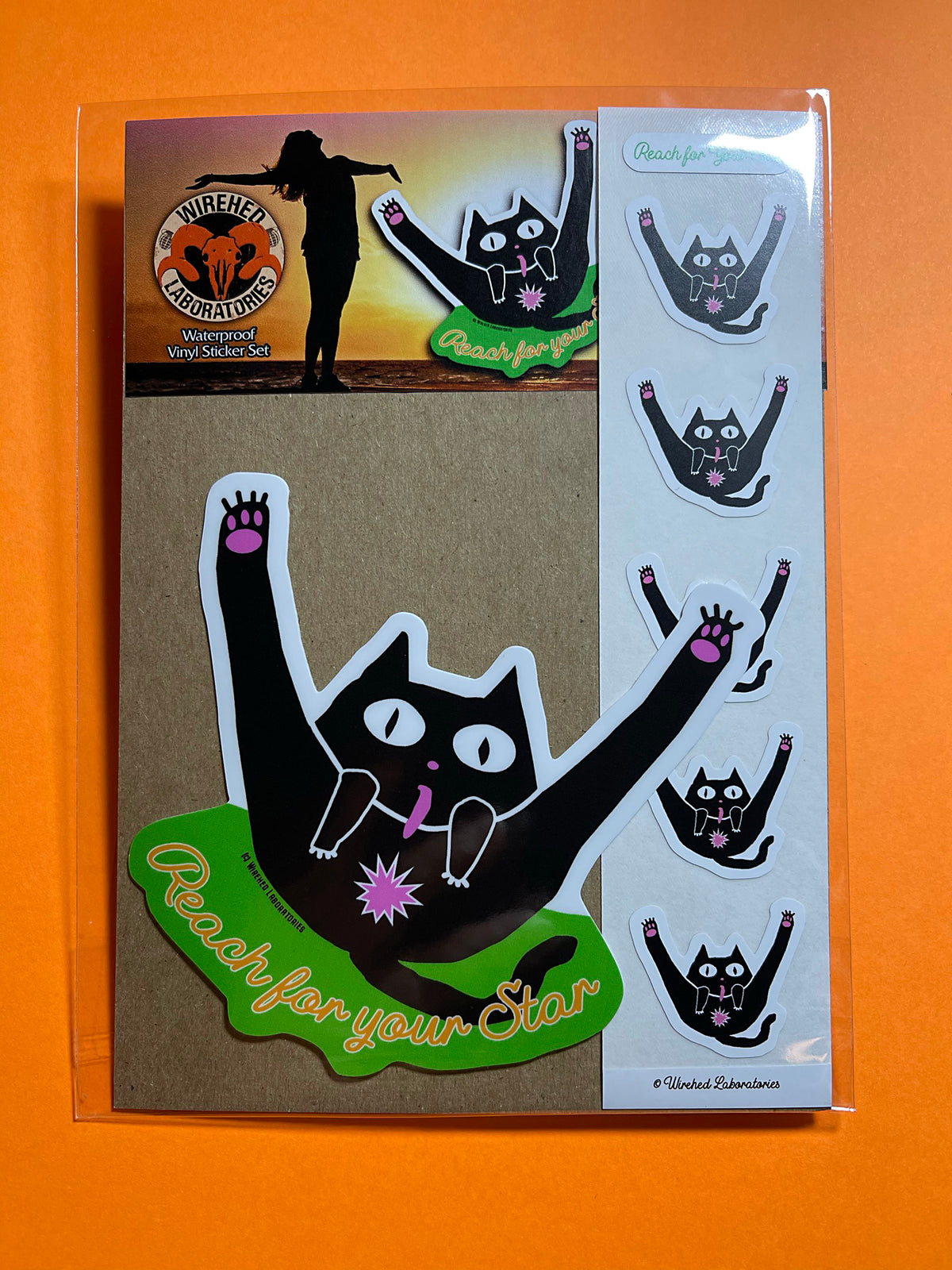 Reach for your Star! Gross Cat STICKER Set! Funny Motivational Cat!