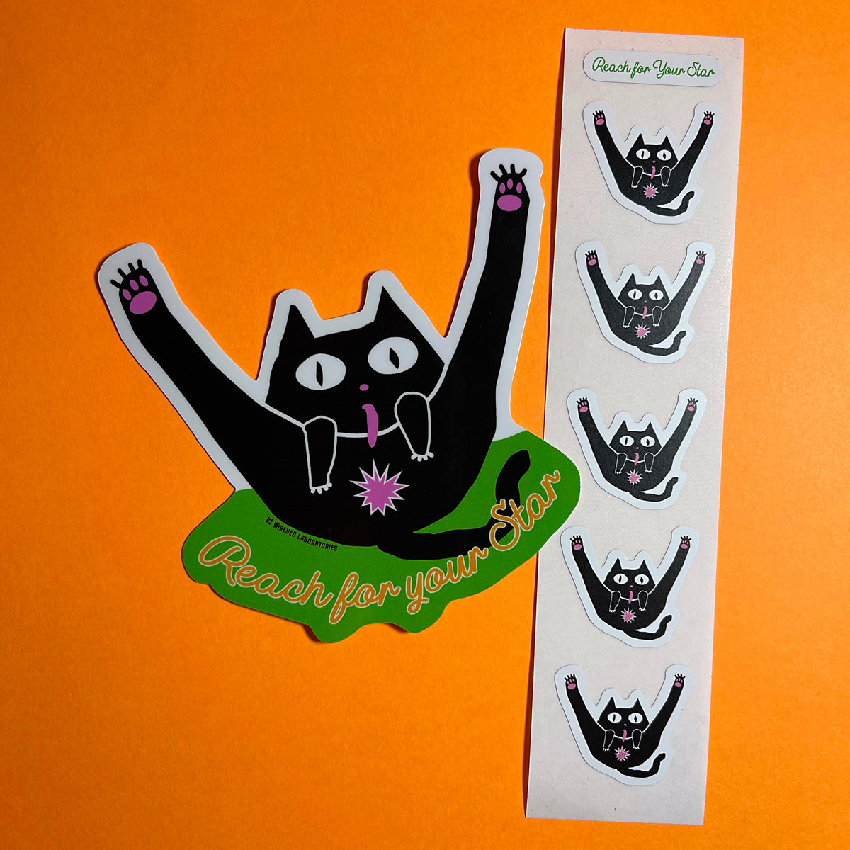 Reach for your Star! Gross Cat STICKER Set! Funny Motivational Cat!