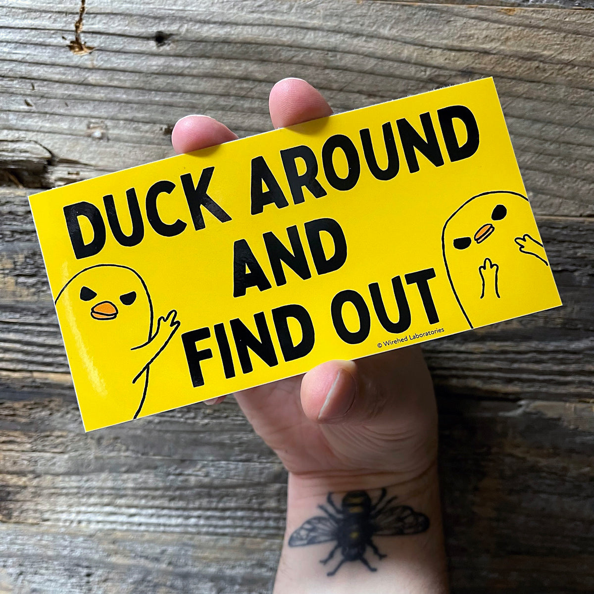Duck Around And Find Out Sticker! Snarky 6" Vinyl Decal