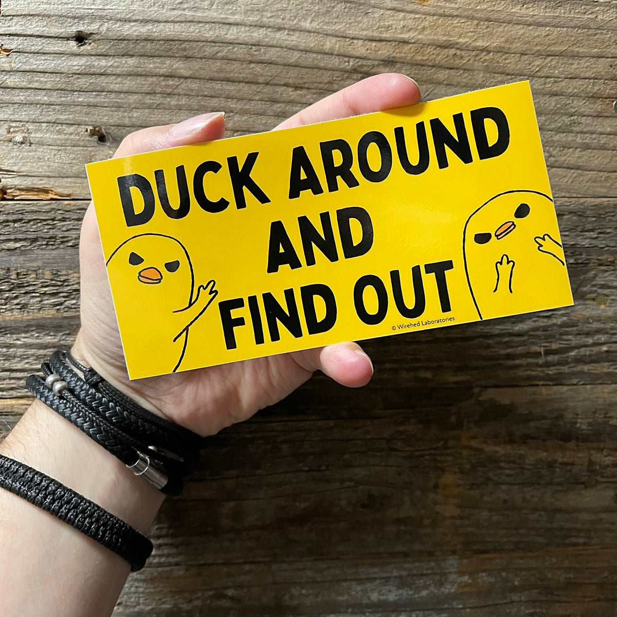 Duck Around And Find Out Sticker! Snarky 6" Vinyl Decal
