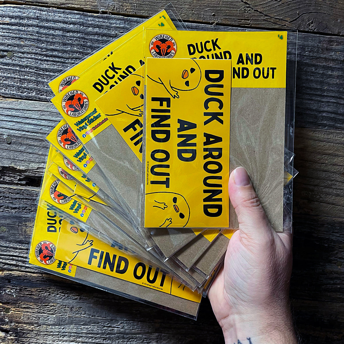 Duck Around And Find Out Sticker! Snarky 6" Vinyl Decal