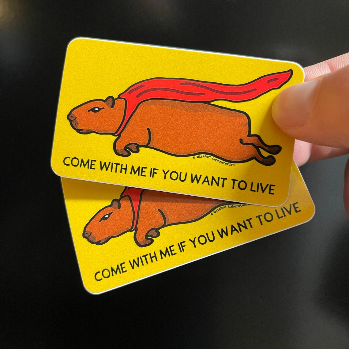 Capybara Sticker 2 pack!