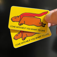 Capybara Sticker 2 pack!