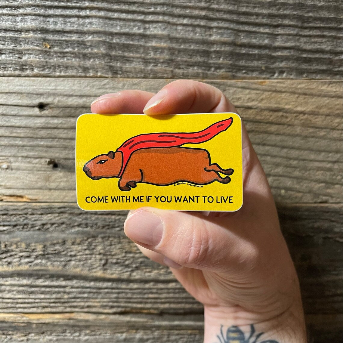 Capybara Sticker 2 pack!