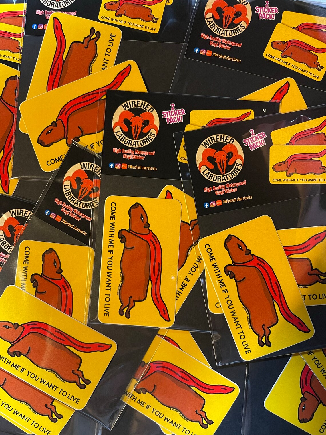 Capybara Sticker 2 pack!