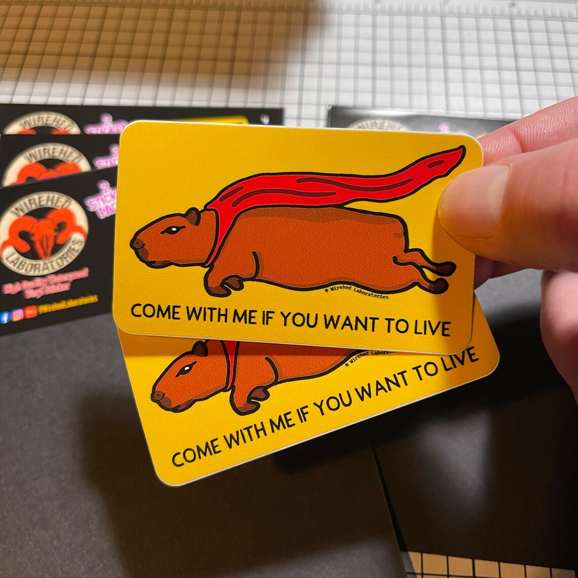 Capybara Sticker 2 pack!