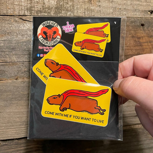 Capybara Sticker 2 pack!