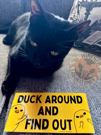 Duck Around And Find Out Sticker! Snarky 6" Vinyl Decal